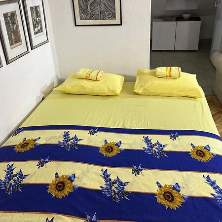 Apartmán Srba Bělehrad Exteriér fotografie